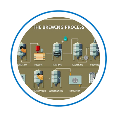 Brewery-process-infographic-2