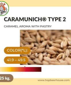 caramunich-type-2-25