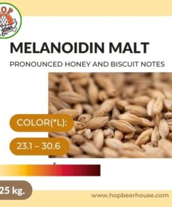 melanoidin-malt-25