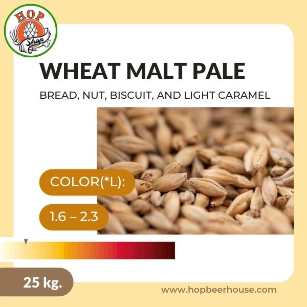 wheat-malt-pale-25