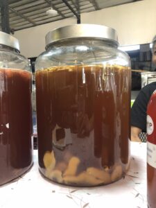 kombucha-01 (14