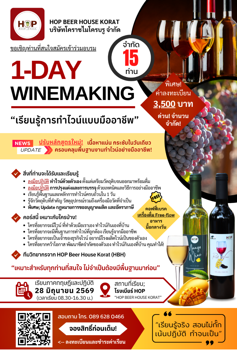 1-Day-Wine-Winemaking